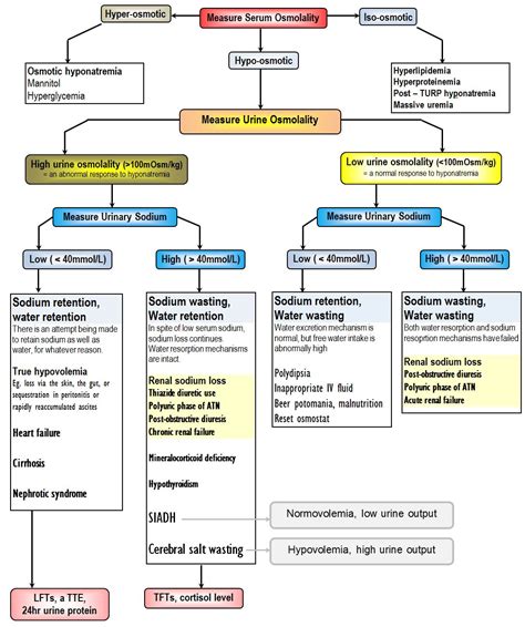 Hyponatremia Differential Diagnosis Chart