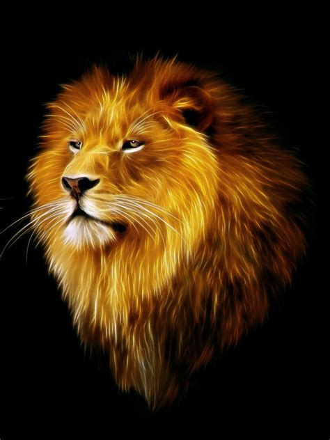 Male Lion Fractal Digital Art By Julie L Hoddinott