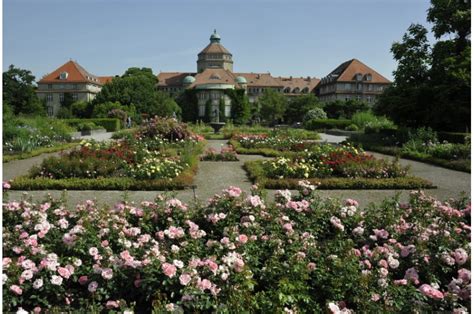 Der botanische garten in münchen befindet sich in nymphenburg und ist sehr gut geeignet für familienbesuche. Botanischer Garten München Nymphenburg - Turbopass