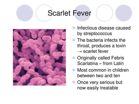 Ppt Streptococcus Scarlet Fever Powerpoint Presentation Id3126042