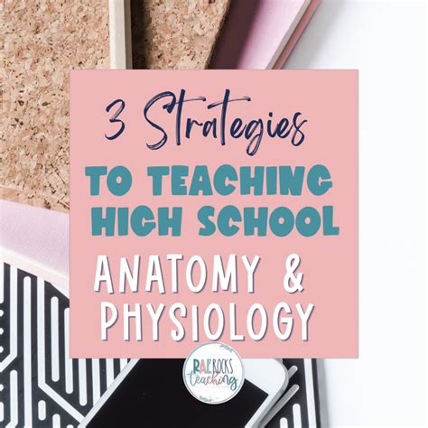 3 Strategies To Teaching High School Anatomy And Physiology Rae Rocks