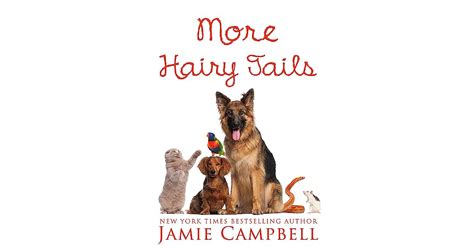 more hairy tails the hairy tail book 11 by jamie campbell