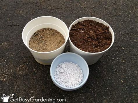 How To Make Your Own Succulent Soil (With Recipe!) | Succulent soil