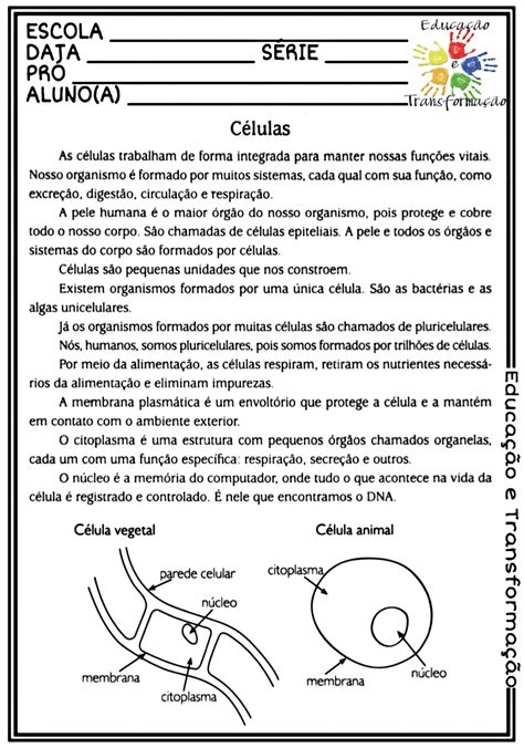 Exercicios Sobre Celulas Procariontes E Eucariontes 7 Ano Com Gabarito
