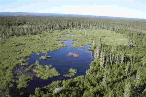 The Weather Network The Largest Beaver Dam On Earth Can Be Seen From