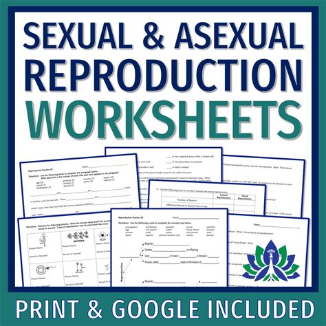 Set Of 3 Sexual And Asexual Reproduction Worksheets Flying Colors Science