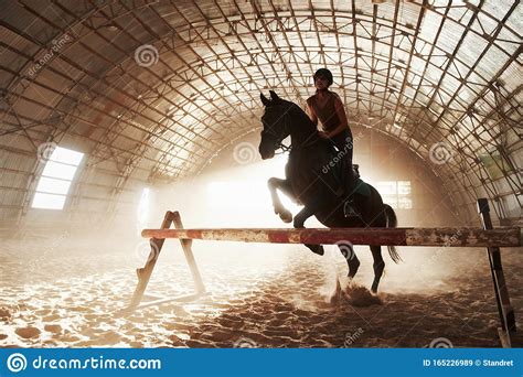 Hd00.10professional rider on a horse jumps over a barrier. Majestic Image Of Horse Horse Silhouette With Rider On ...