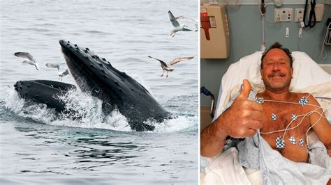 The Man Was Swallowed By A Humpback Whale And The Ending Made People Unable To Imagine Video