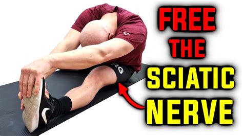 Sciatic Nerve The Real Reason Behind Tight Hamstrings Youtube