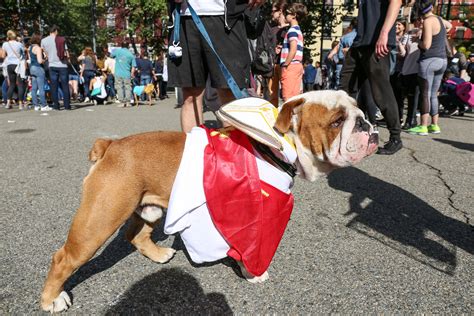 The Most Adorable Costumes At The Tompkins Square Park Halloween Dog Parade