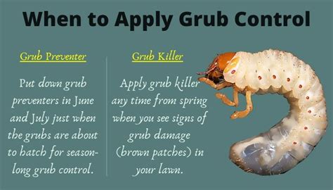 When To Apply Grub Control Green Side Up