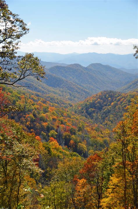 Fall In The Great Smoky Mountains Of Bryson City North Carolina