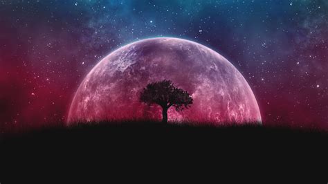 Download Planet Tree Moon Galaxy Stars Sky Silhouette Wallpaper