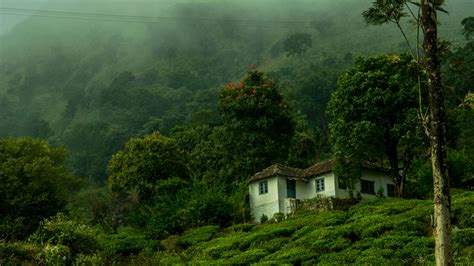 On the other hand, the hill stations in kerala like munnar receive thousands of. Best Time to Visit Munnar | Best Season to Visit Munnar ...