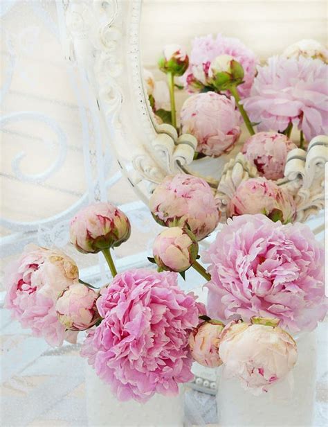 Pin By Maria Perez On Shabby Chic Decor Pink Peonies Art Peonies