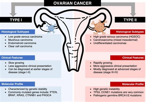 Schematic Representation Of Ovarian Cancer Classification Into Type I Download Scientific