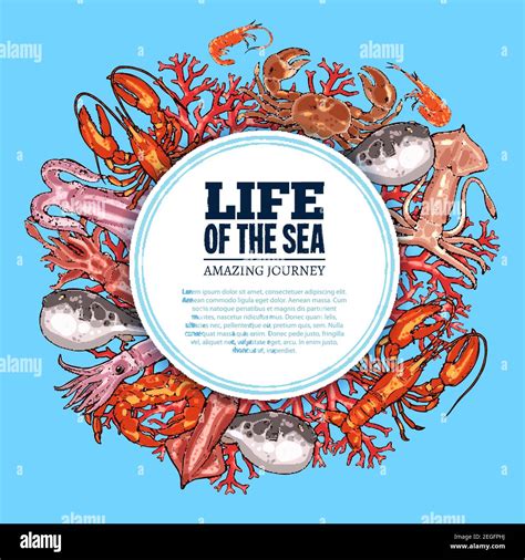 Sea Life Poster Of Ocean Fishes And Animals Vector Sketch Octopus