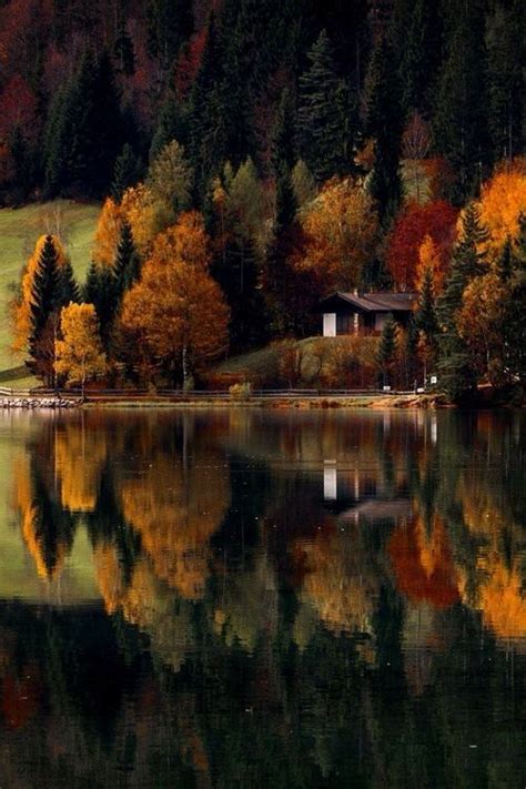 Lake Fall Autumn Outdoors Nature Cabin Lakehouse With Images