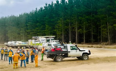 Fires Ravage Pines: HVP Counts Toll from Catastrophic Bushfire | Wood width=