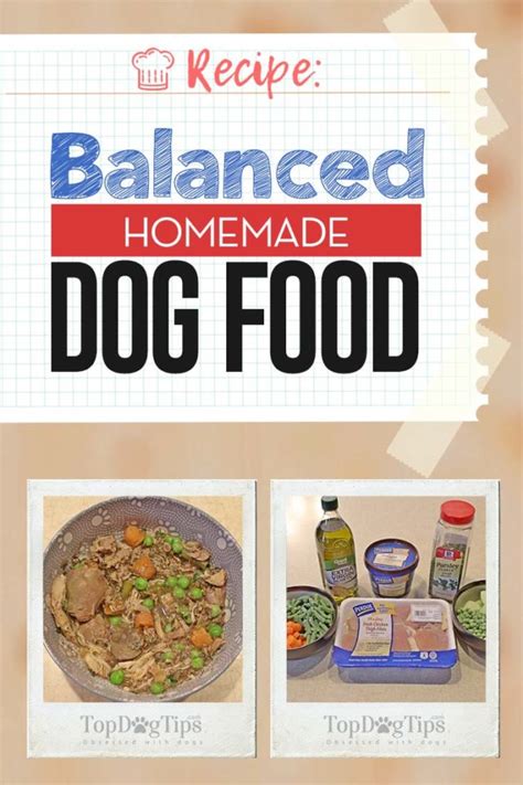 Balanced Homemade Dog Food Recipe Video Instructions Included