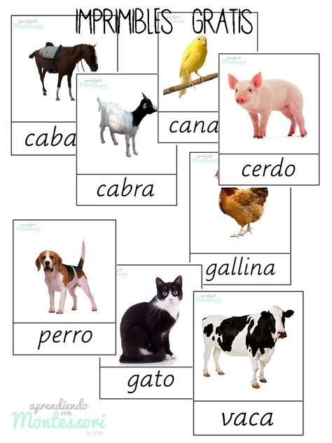 Animales Fichas De Animales Tarjetas De Animales Imprimibles Montessori
