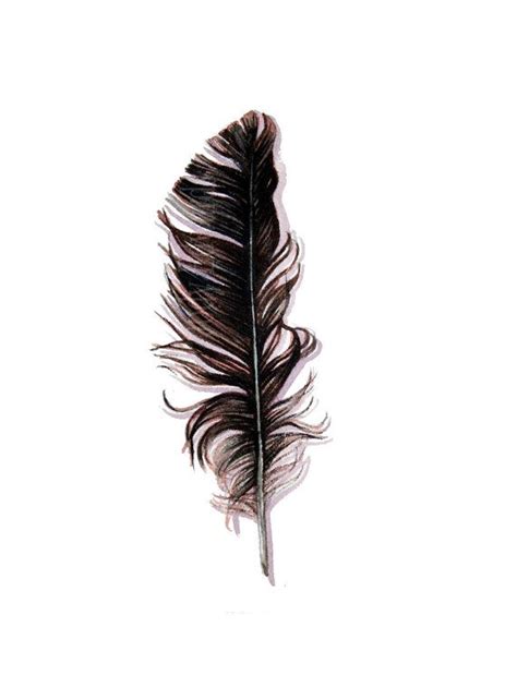 Crow Feather Original Watercolor Feather Study Etsy Tüy Resimler