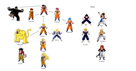 Picture Of Goku In All Forms Dbz