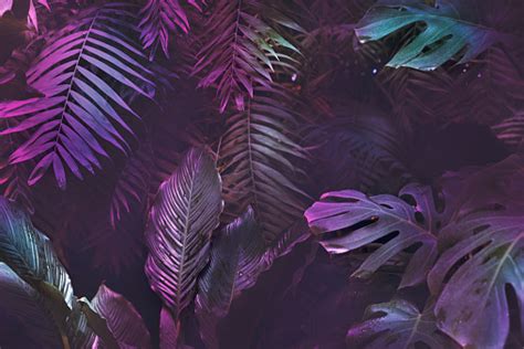 Tropical Neon Jungle Background Neon Jungle And Transparent Png