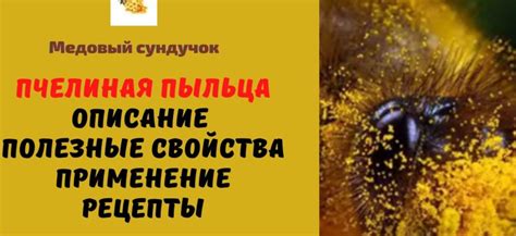 Пчелиная пыльца - Описание. Полезные свойства. Применение. Рецепты ...