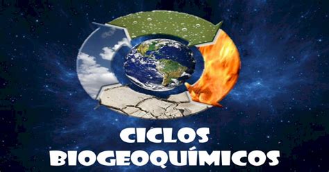 Ciclos BiogeoquÍmicos · Ciclos