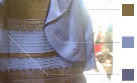 La Explicaci N Cient Fica De Por Qu El Vestido Se Ve De Distintos Colores Infoveloz Com