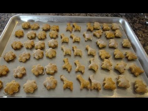 Precautions when making homemade dog treat recipes. How to make PUMPKIN dog treats! *Low-Fat & Healthy* - YouTube