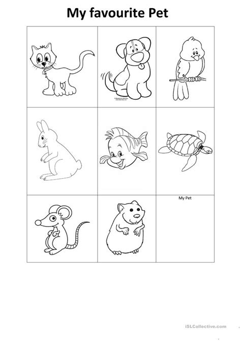 pets worksheet  esl printable worksheets   teachers