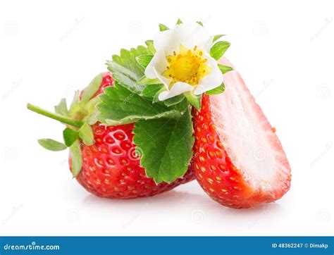 Sliced Strawberries Stock Image Image Of Isolated Closeup 48362247