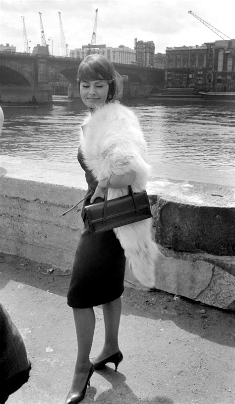 Sophia Loren Candid Vintage Erotica Forum Sophia Loren