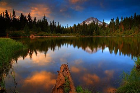 Oregon Forest Night Wallpapers Top Free Oregon Forest Night