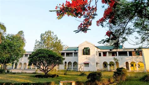 Dehradun Hills Academy