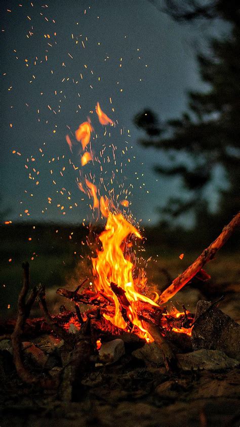 1920x1080px 1080p Free Download Fire At Night Camp Firepit Forest