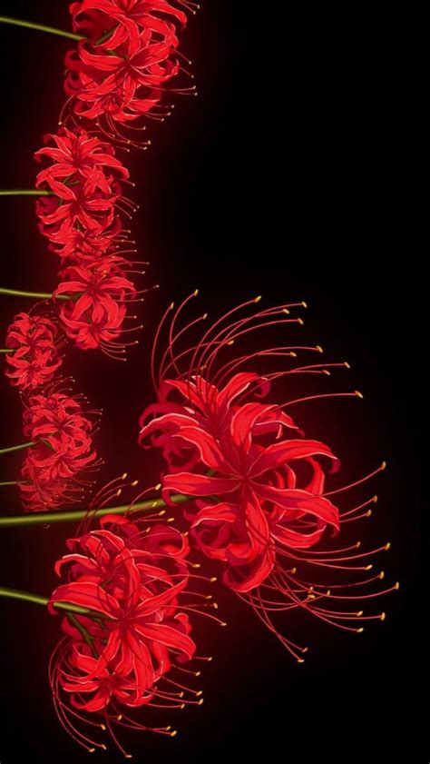 Red Spider Lily Red Spider Lily Anime Wallpaper Iphone Red And Black Wallpaper