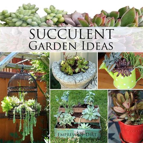 Garden Ideas Succulents Garden And Succulents On Pinterest