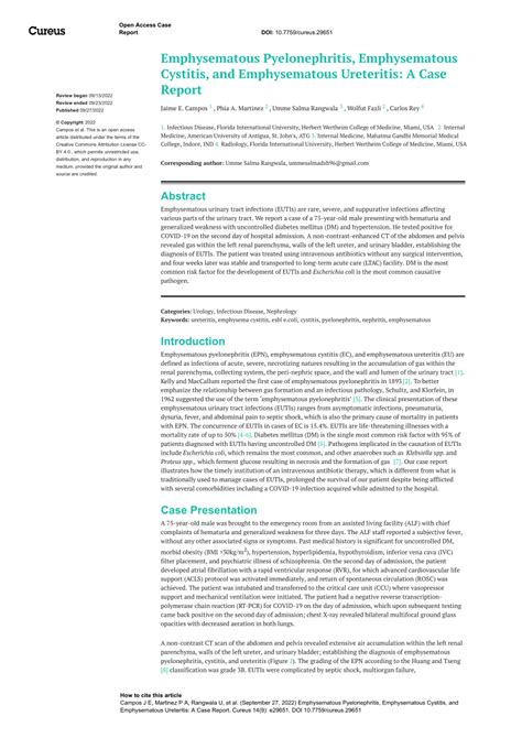 Pdf Emphysematous Pyelonephritis Emphysematous Cystitis And Emphysematous Ureteritis A Case