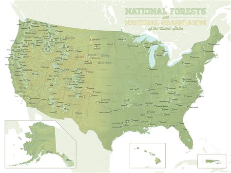 Us National Forests Map 18x24 Poster Best Maps Ever
