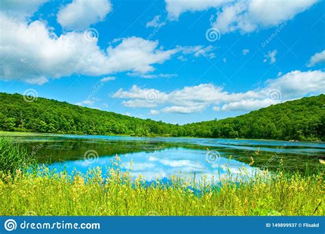 Landscape Lake Beautiful Wild Nature Forest Lake With Mirror