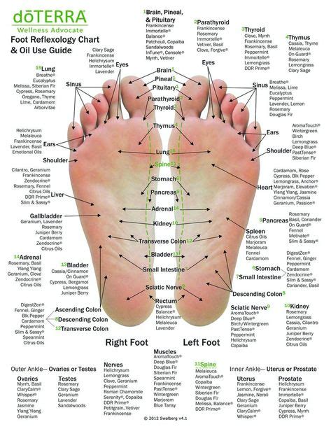 Chinese Medicine Foot Chart