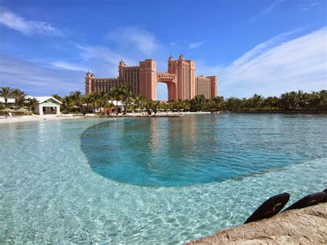 Disney Bahama Island Bahamas Honeymoon Bahamas Honeymoon Resorts
