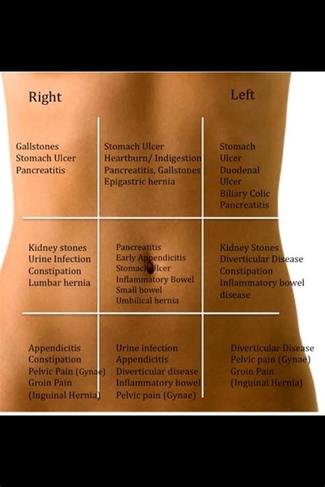 Organ Location Chart | Health tips