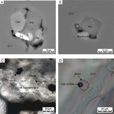 Representative Microphotographs Of The Olivine Hosted Inclusions Ab