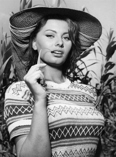 Sophia Loren 8x10 Glossy Photo Picture Image 15 Sofia Loren Sophia Loren Beautiful Italian