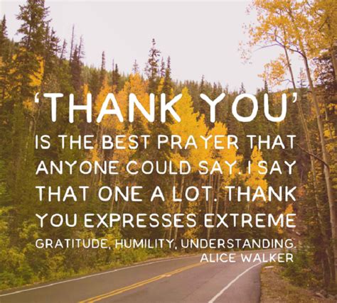 Best Famous Short Gratitude Quotes And Sayings