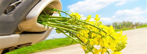 Und auch der kampf gegen hausstaubmilben nimmt niemals ein ende. Pollen, Feinstaub und Co: Wie sinnvoll sind Luftfilter für ...